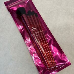 NEW Shaina B Miami B Fab Brush Set
